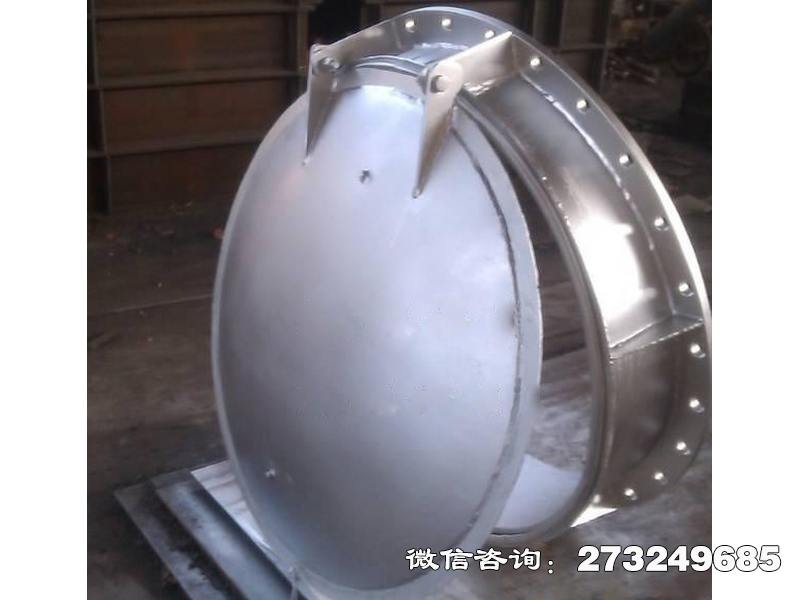 潘集800不锈钢拍门